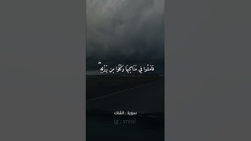 Quran Kareem story 🌸WhatsApp《 سوره الملك 》  أجمل قرائه قرآن كريم حالات واتس 🍃