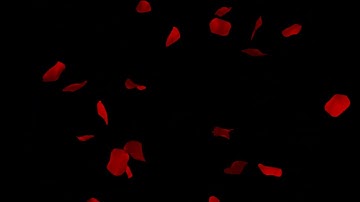 Red rose petals falling effect black background Free download overlay