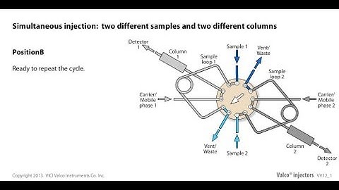 Valco simultaneous injection of two different samples onto two different columns
