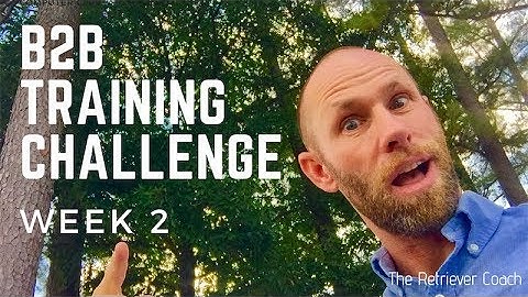 B2B Training Challenge Week 2 Scattered Bumper Drill