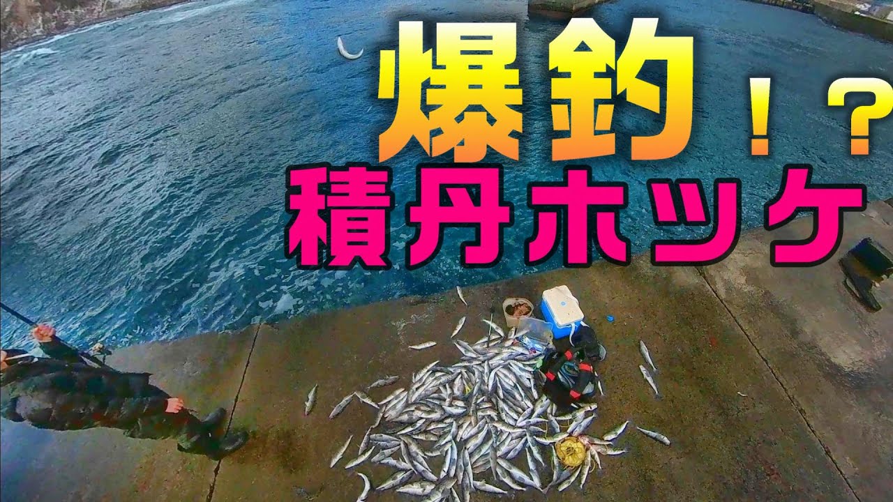 釣り日記♯８０ 積丹ホッケ爆釣！ジグでもサビキでも何でもアリ？