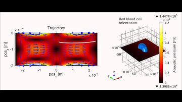 Acoustophoresis of a red blood cell
