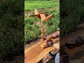 Middle School Woodworking: The Wooden Flying Bird 🐦#studentwork #creativekids #4h #woodworking
