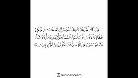 القارئ سعد الغامدي - سورة الأنعام - الآية 35