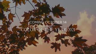 Color of the Year 2021 is Coming | Benjamin Moore