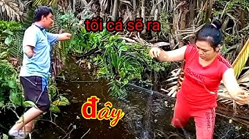 giăng lưới ba màn cặp bờ lá mùa nước nổi và cái kết@