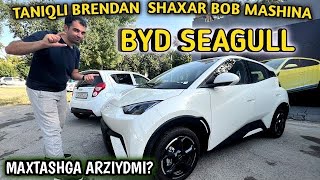 BYD SEAGULL NARXI ARZONLADI ISHONCHI BERIN ELECTRO MOBILI 😱✅