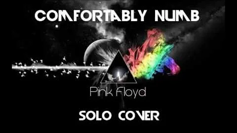 Pink Floyd Comfortably Numb solo cover - Pintarics...