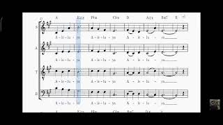 Aleluya - Delgado book III (Bass)