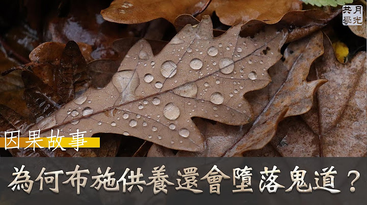 【因果故事】为何布施供养还会堕落鬼道．福智 如俊法师导读 - 天天要闻