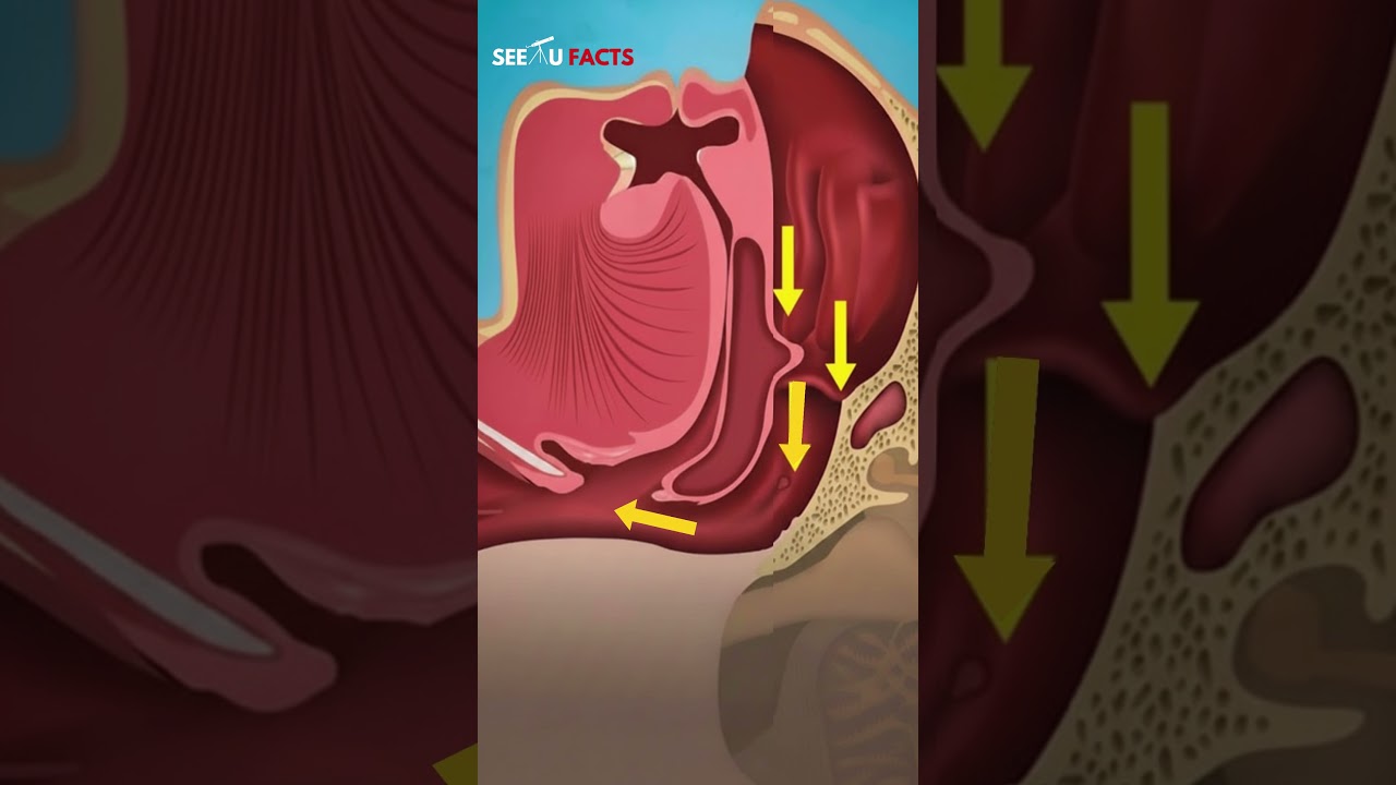 Why astronauts don't snore in space? 