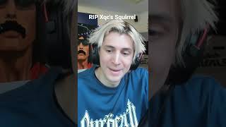 RIP to Xqc's Squirrel #live #livestream #twitch #xqc #xqcow