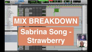 Mix Breakdown - Strawberry by Sabrina Song