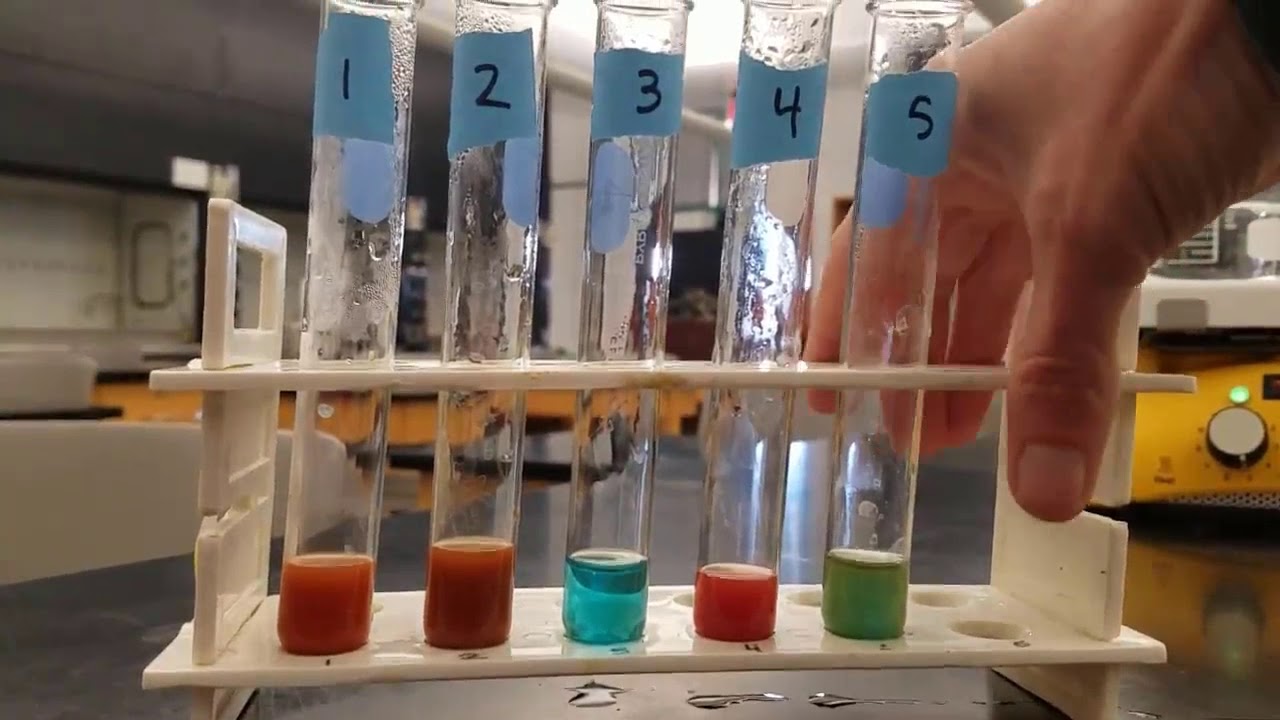Lab 12 Carbohydrates YouTube