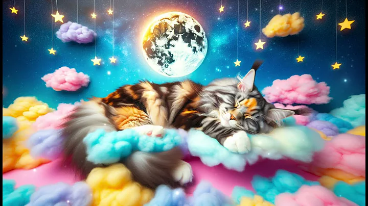 Video 9987881: pet maine coon, maine coon sleeping