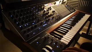 Arturia Matrixbrute Demo I No Talking + Custom Patches