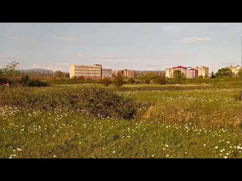 ემიგრანტებისთვის, ქუთაისი 2020 წელი.