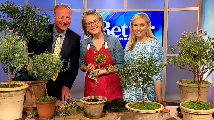 Nora Murphy Talks Topiaries