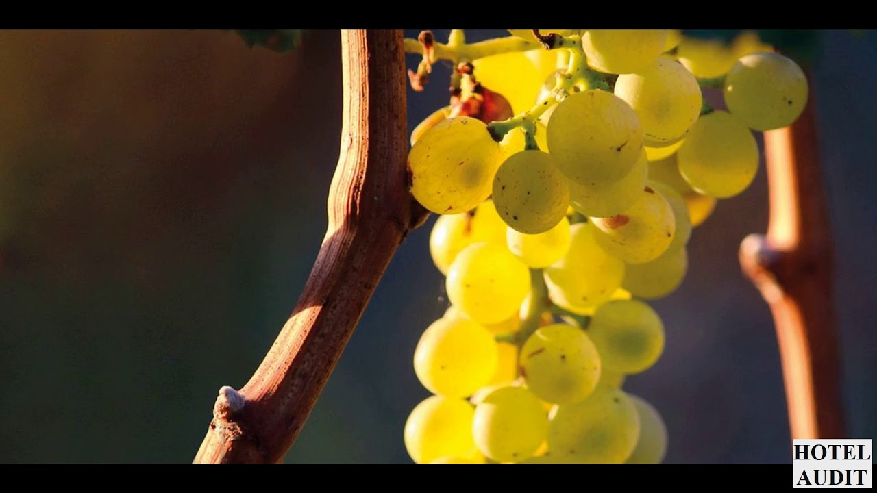 Quattropani   Tenuta di Castellaro Италия 1