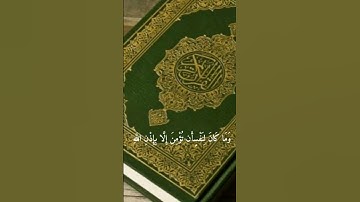 قران كريم بصوت جميل جدا ☝️🇵🇸🇸🇾😘👍