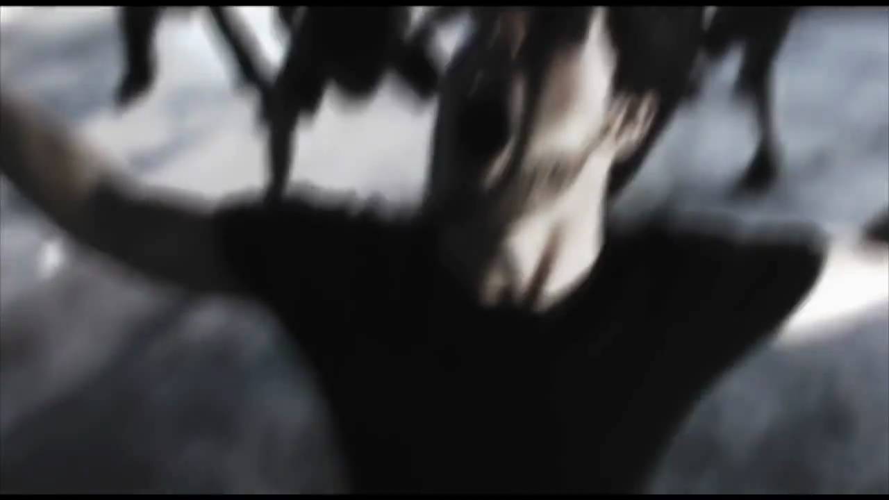 Obnoxious My Scorn video clip