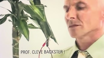Cleve Backster’s Plant Experiment: Do Plants Remember and Feel Energy?