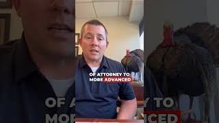 How Estate Planning Evolves Across Life Stages and Changing Laws