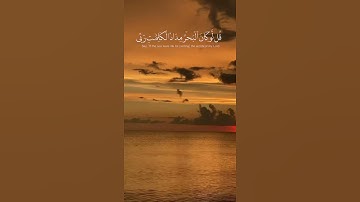 تلاوة مبكية بصوت القارئ اسلام صبحي