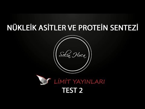 51) Limit Yayınları - Nükleik Asitler ve Protein Sentezi - Test #2