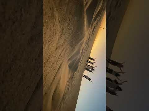 Chasing sunsets and making memories in the Dubai desert