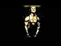 Top 5 zyzz songs