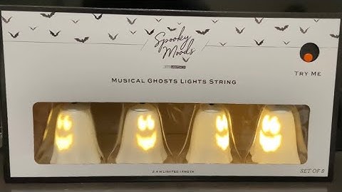 2021 Gemmy LED Projection Musical String Lights with sound (Big Lots Halloween)