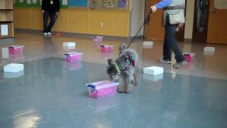 2017-02-19 Nw3 Trial - Containers