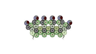 Cell Lab - Active defense [Unbreakable ship]
