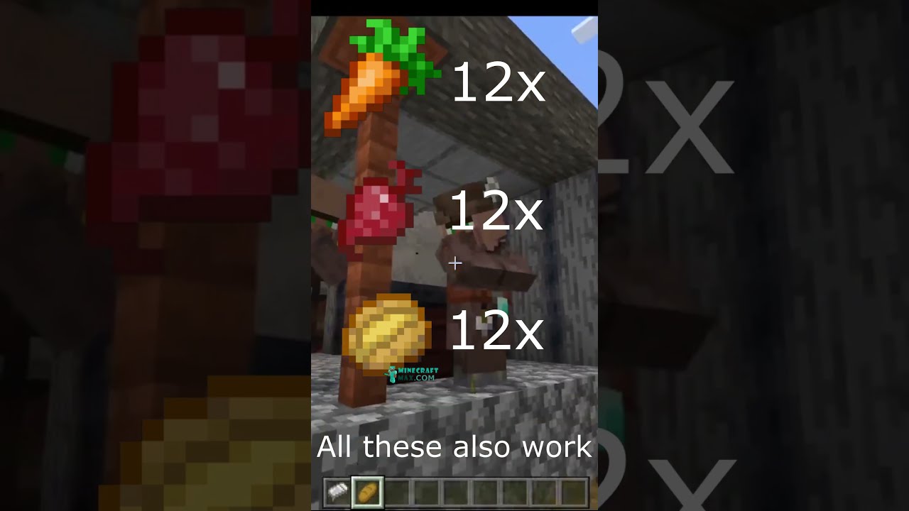 The Reason Why Your Villagers Are Not Breeding In Minecraft