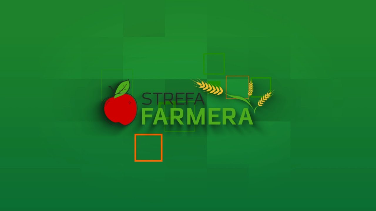 STREFA FARMERA: Pielęgnacja winnicy w okresie letnim