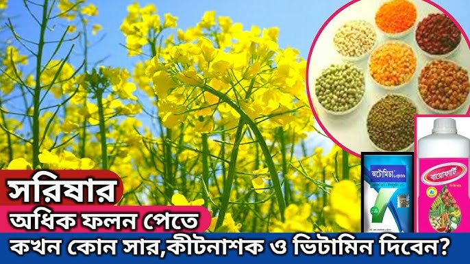 Sekretar bilan retro jinsiy aloqa video