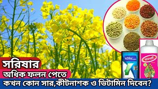 Xotinni aldash jinsiy aloqa video