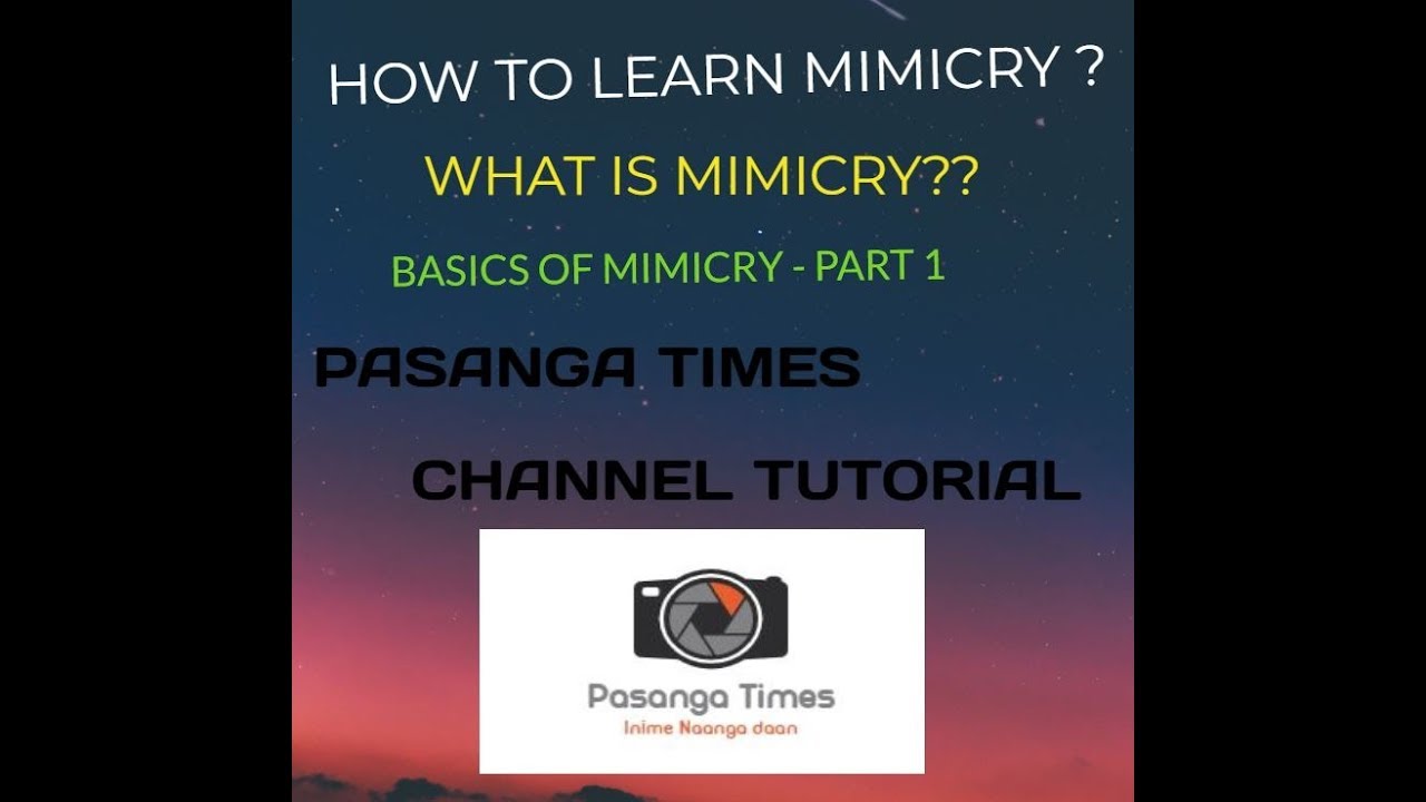 How To Do Mimicry What Is Mimicry Mimicry Basics Part 1 Pasanga how-to-do-mimicry-what-is-mimicry-mimicry-basics-part-1-pasanga