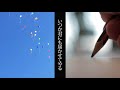 君の街まで/MUKAI【MV】