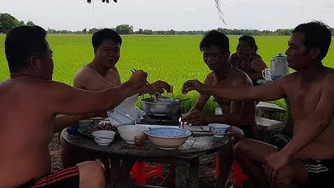 Nhậu dân dã ngoài đồng ruộng.