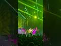 Widespread Panic - Cease Fire - Fox Theatre Atlanta - 8/12/22