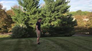 Burpees Modified to Push Up Position and Lower to Ground