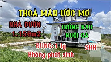 Thỏa mãn ước mơ:nhà vườn 1.150m2 đúng giá 1 tỷ,sổ riêng:nhà ngộp bình Chánh