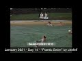 Jamuary 2021  day 14  frantic swim by chefelf