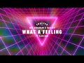 Mor avrahami  ran ziv ft ilor bar  what a feeling intro mix