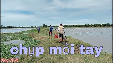 Bơm nước bắt chuột,trúng ổ chuột hơn 10kg |đồngcárô