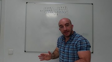 MATEMÁTICAS: cálculo del rango de una matriz por el método de reducción de Gauss.