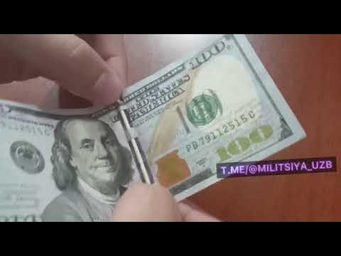 Ukrainalik ayolning mushuk surati