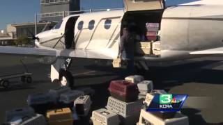 Idaho helps Sacramento's lost animals find homes